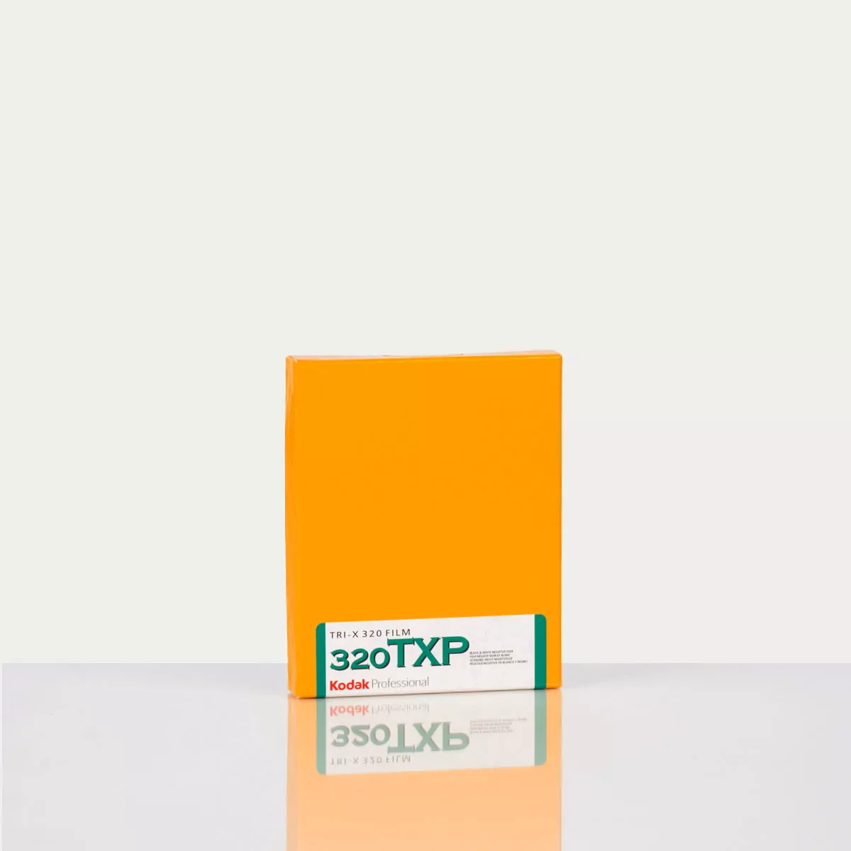 Kodak TRI-X 320 TXP 4×5 inch (10 פלטות) **Over Date 2/2022**